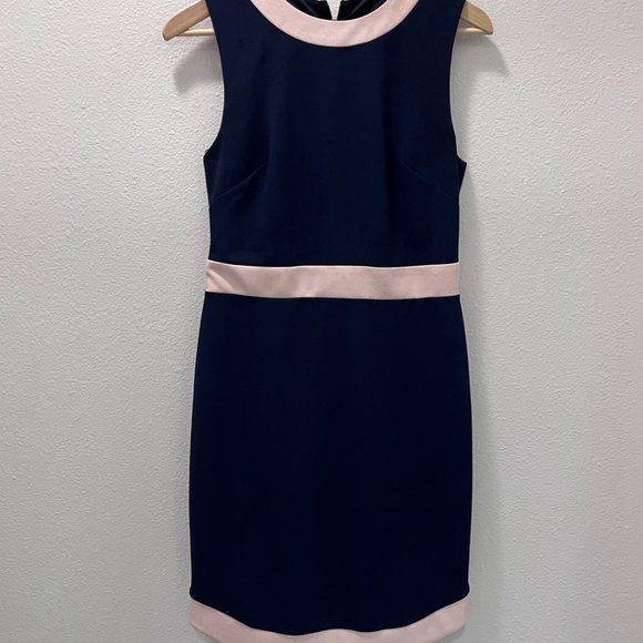 Vince Camuto Navy with Pink Ringer Trim Scuba Crepe Dress Size 6 - Picture 3 of 7